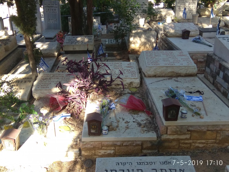 קובץ:2019.05.07-181109.537.android.jpg