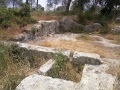 תמונה ממוזערת לגרסה מתאריך 11:37, 9 במאי 2019