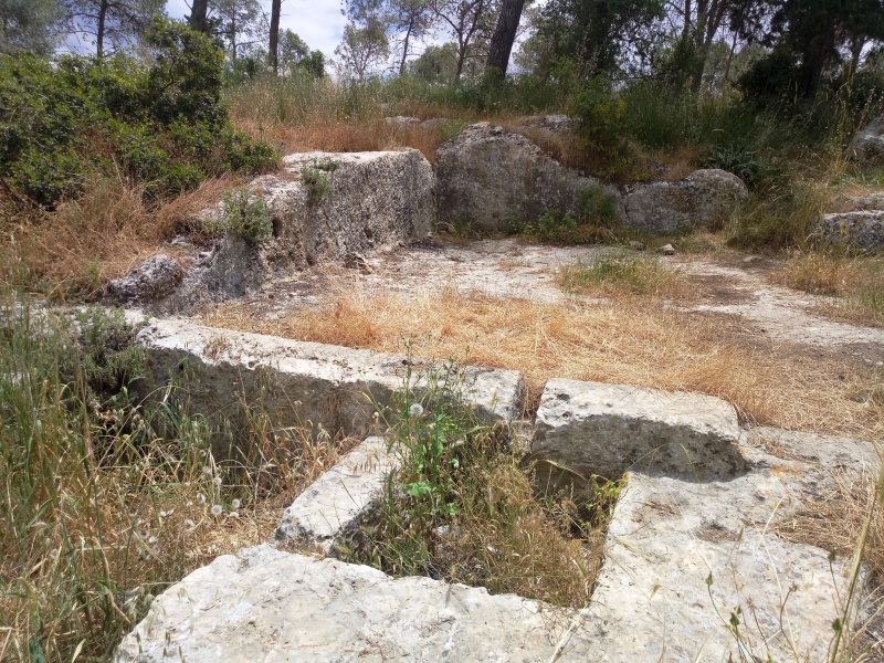 קובץ:2019.05.09-136026.014.android.jpg