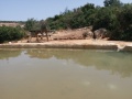 תמונה ממוזערת לגרסה מתאריך 08:06, 4 ביוני 2019