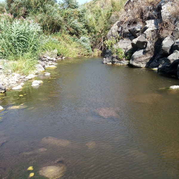 קובץ:2019.07.07-170925.027.android.jpg