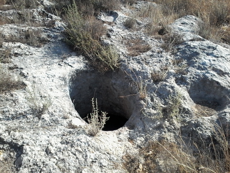 קובץ:2019.08.21-180438.415.android.jpg