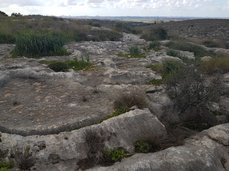 קובץ:20190118 133039.jpg