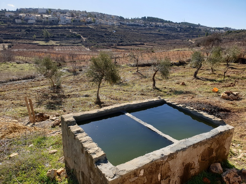 קובץ:20191229 094942.jpg