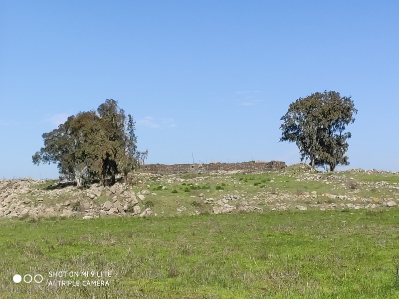 קובץ:2020-02-15T13 15 47.351157965446.jpg