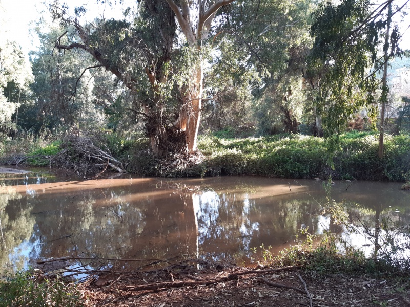 קובץ:2020-03-04T16 13 46.397116355067.jpg