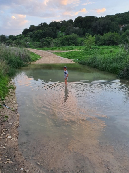 קובץ:2020-03-11T17 41 48.464391442134.jpg