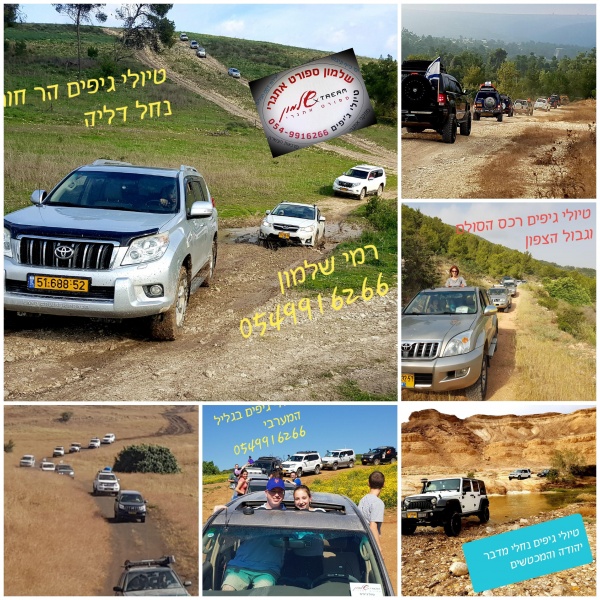 קובץ:2020-03-31T17 44 11.071951526531.jpg