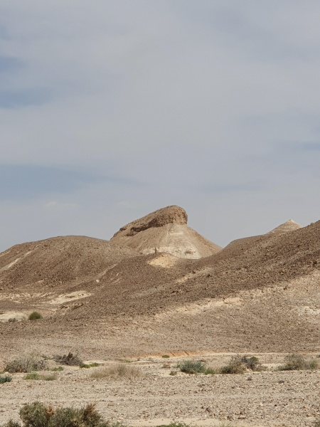 קובץ:2020-04-15T15 09 09.963390341262.jpg