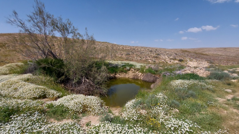 קובץ:2020-04-18T14 39 01.110727958101.jpg