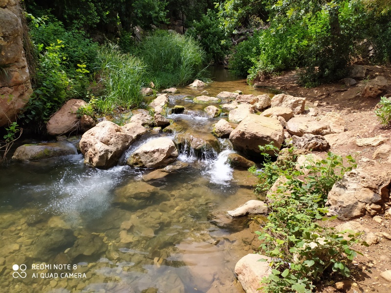 קובץ:2020-05-06T14 09 03.785938748625.jpg