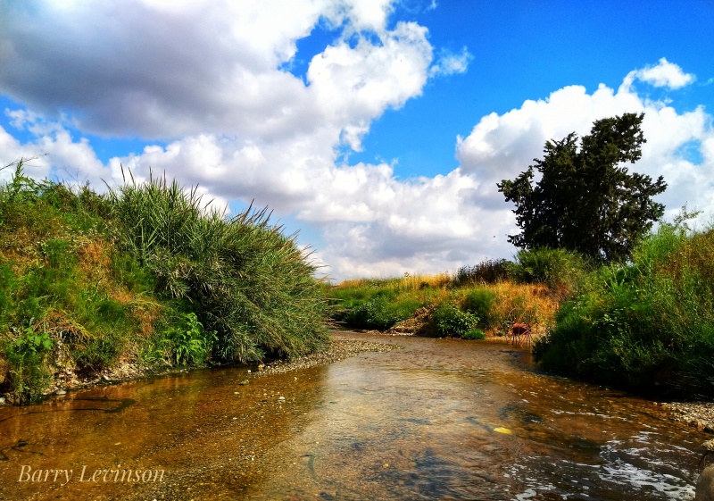 קובץ:2020-05-12T06 40 33.401689238711.jpg