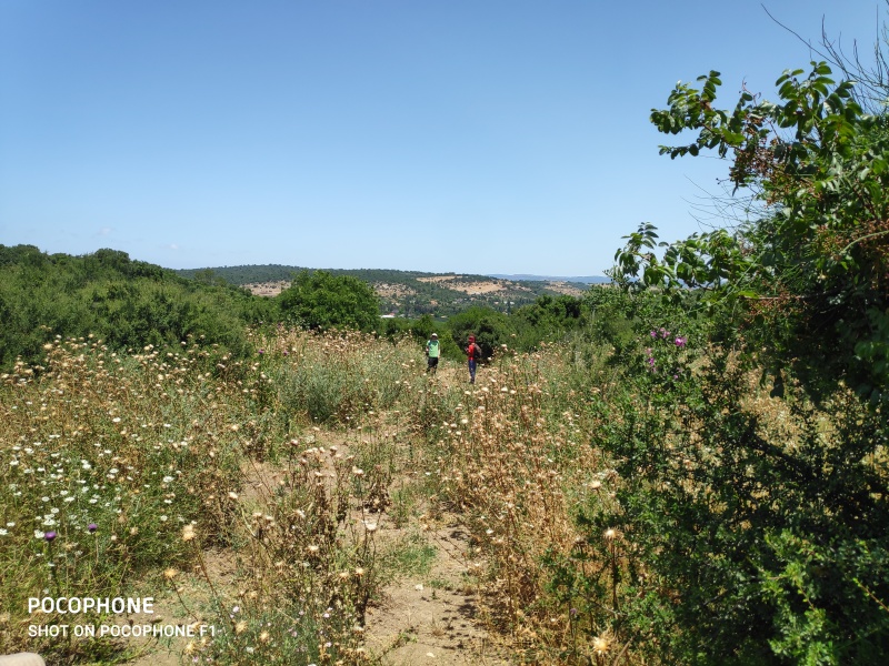 קובץ:2020-05-27T12 05 30.944792180423.jpg