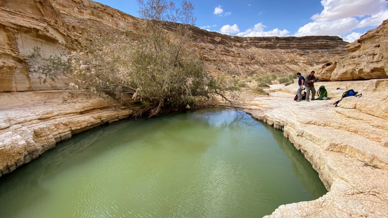 קובץ:2020-06-11T22 54 51.853125668309.jpg