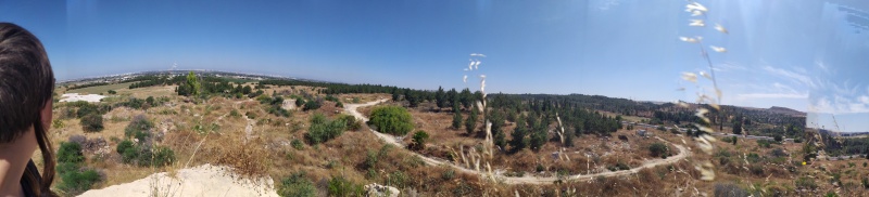 קובץ:2020-06-12T10 05 32.651918464579.jpg