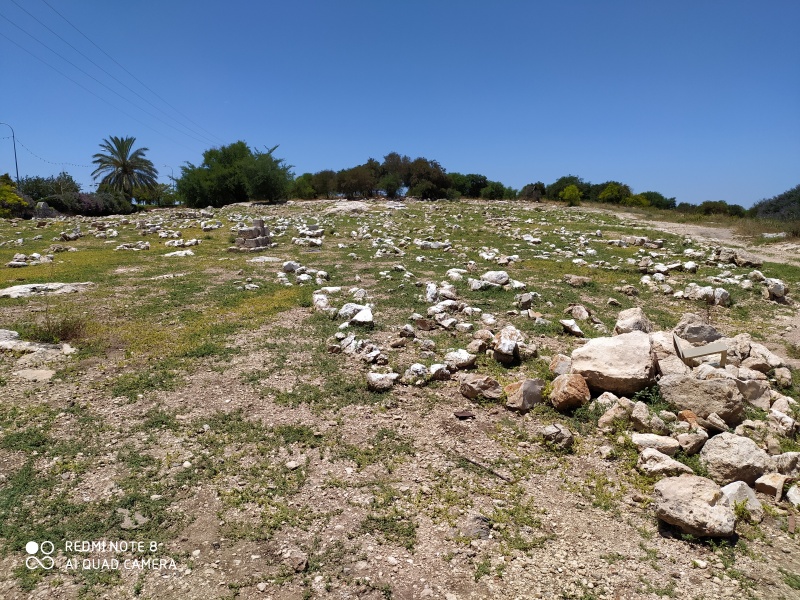 קובץ:2020-06-14T12 34 50.081029933116.jpg