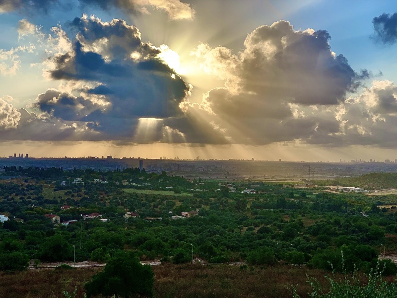 קובץ:2020-06-20T07 51 22.951842364451.jpg