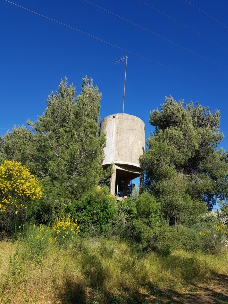 קובץ:2020-06-26T08 44 20.103030646674.jpg