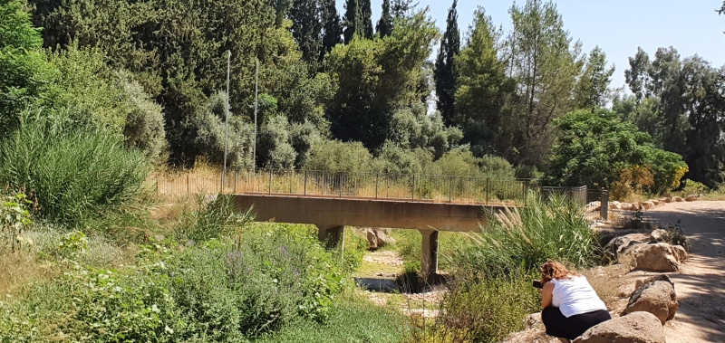 קובץ:2020-06-26T10 42 00.388624146785.jpg