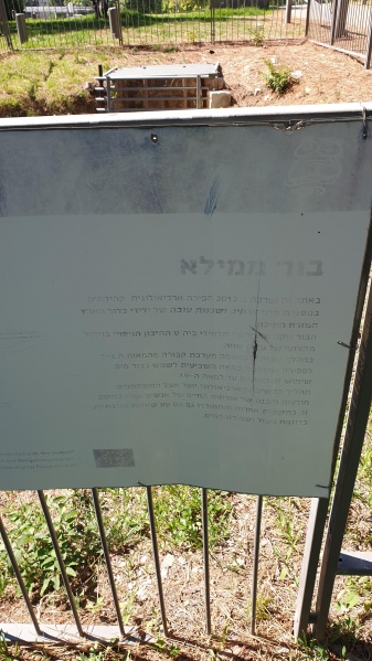 קובץ:2020-06-29T09 32 50.471786649004.jpg