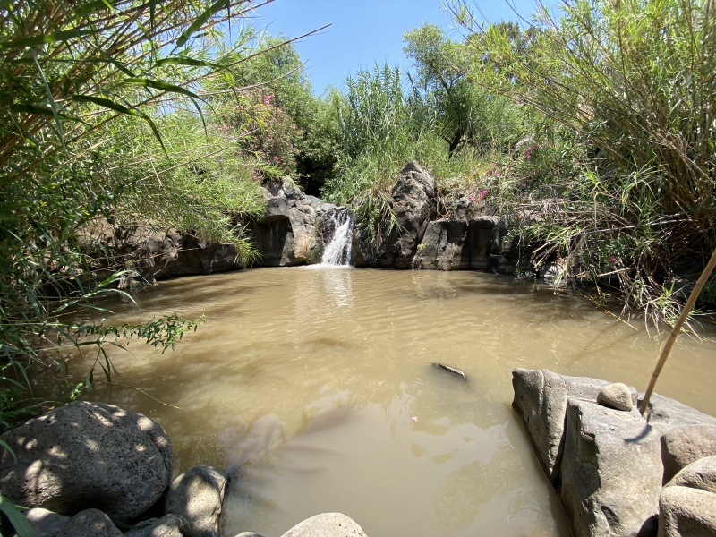 קובץ:2020-07-04T13 22 42.388089874682.jpg