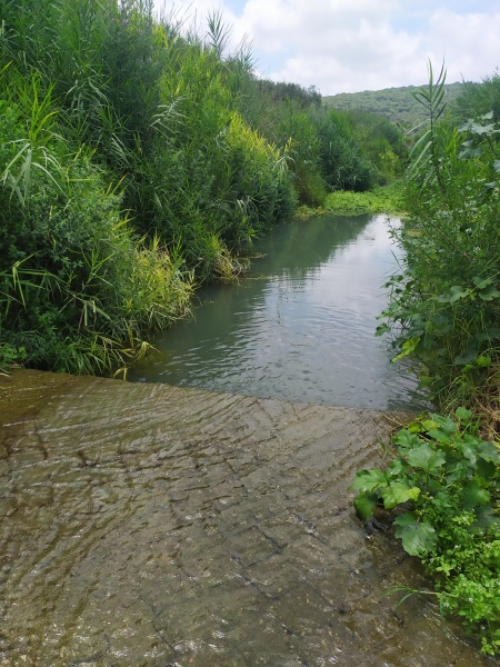 קובץ:2020-07-07T13 25 47.80918146371.jpg