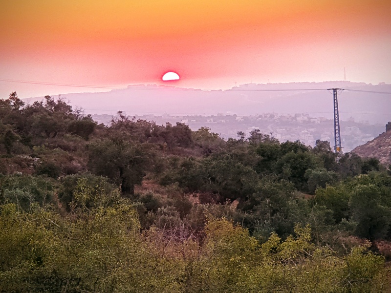 קובץ:2020-07-26T10 54 00.657393817161.jpg