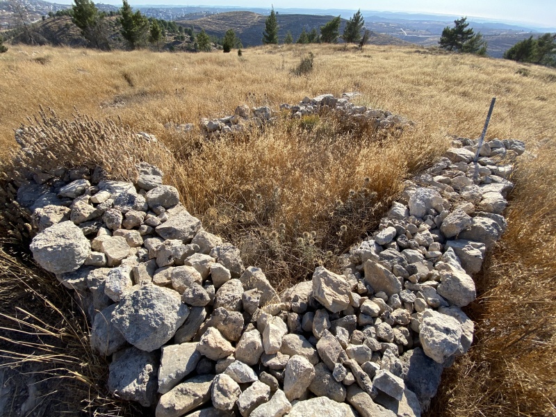 קובץ:2020-08-01T17 42 16.592338945891.jpg