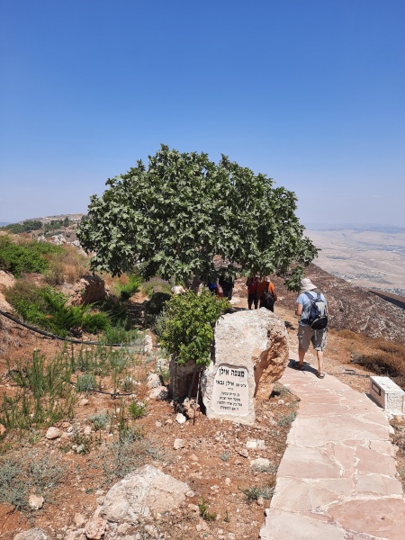 קובץ:2020-08-04T11 26 33.59470148584.jpg