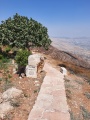 תמונה ממוזערת לגרסה מתאריך 08:18, 4 באוגוסט 2020