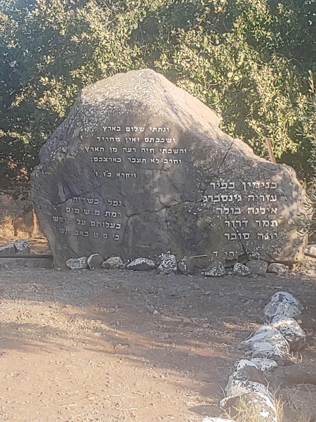 קובץ:2020-08-06T18 07 29.664664455864.jpg