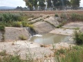 תמונה ממוזערת לגרסה מתאריך 06:09, 10 באוגוסט 2020