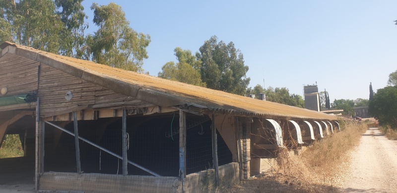 קובץ:2020-08-23T10 11 51.091612861929.jpg