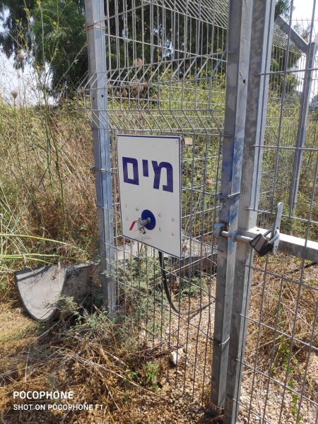 קובץ:2020-09-09T14 01 31.326324723543.jpg