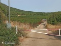 תמונה ממוזערת לגרסה מתאריך 06:00, 10 בספטמבר 2020