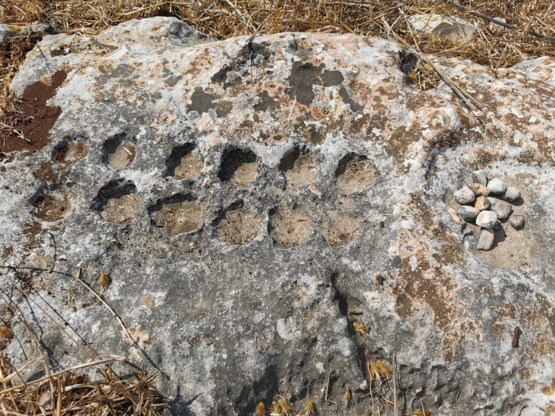 קובץ:2020-09-12T14 50 04.198351182999.jpg