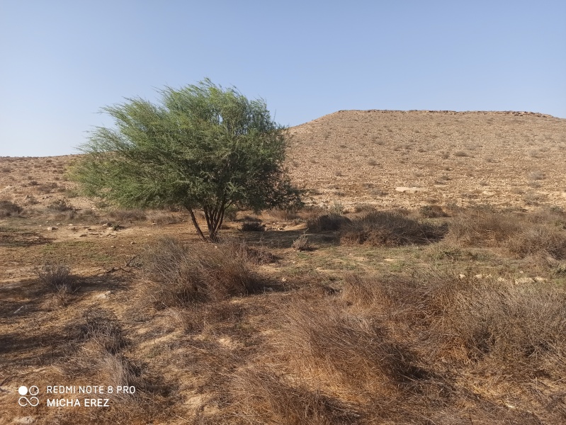 קובץ:2020-09-23T08 34 38.507583585008.jpg