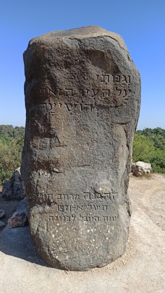 קובץ:2020-09-29T14 24 49.354289220560.jpg