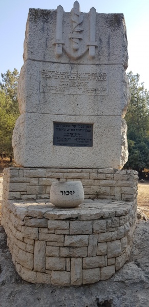 קובץ:2020-10-08T16 13 29.999968626559.jpg