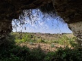 תמונה ממוזערת לגרסה מתאריך 13:38, 9 באוקטובר 2020