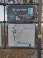 תמונה ממוזערת לגרסה מתאריך 14:17, 29 באוקטובר 2020