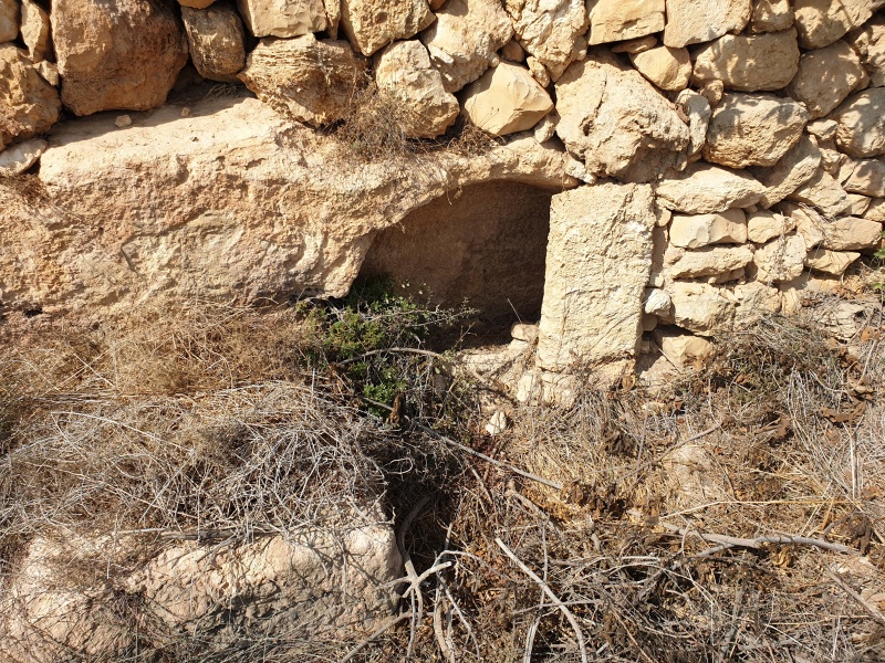קובץ:2020-10-30T10 56 04.15986790912.jpg