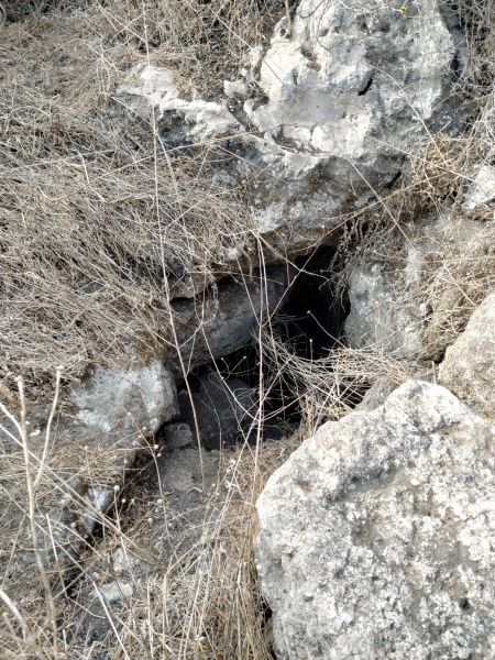קובץ:2020-10-31T13 34 37.160399908983.jpg