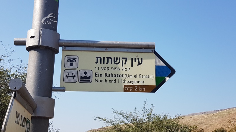 קובץ:2020-11-21T19 43 14.295075453360.jpg