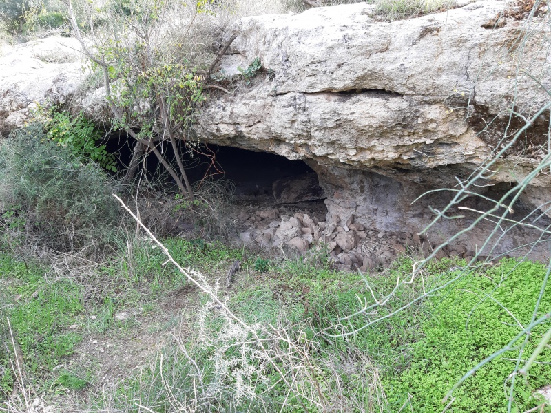 קובץ:2020-11-24T13 25 24.181864249423.jpg