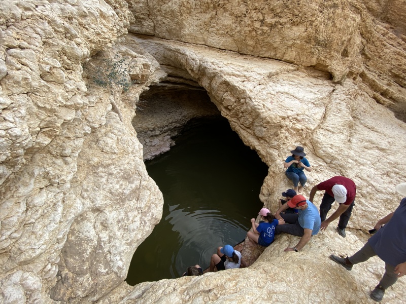 קובץ:2020-12-05T10 43 43.259704384800.jpg