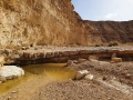 תמונה ממוזערת לגרסה מתאריך 14:16, 15 בדצמבר 2020