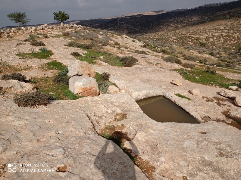 קובץ:2020-12-18T11 16 07.876900415775.jpg