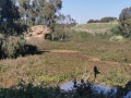 תמונה ממוזערת לגרסה מתאריך 09:36, 19 בדצמבר 2020