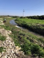 תמונה ממוזערת לגרסה מתאריך 09:28, 16 בינואר 2021